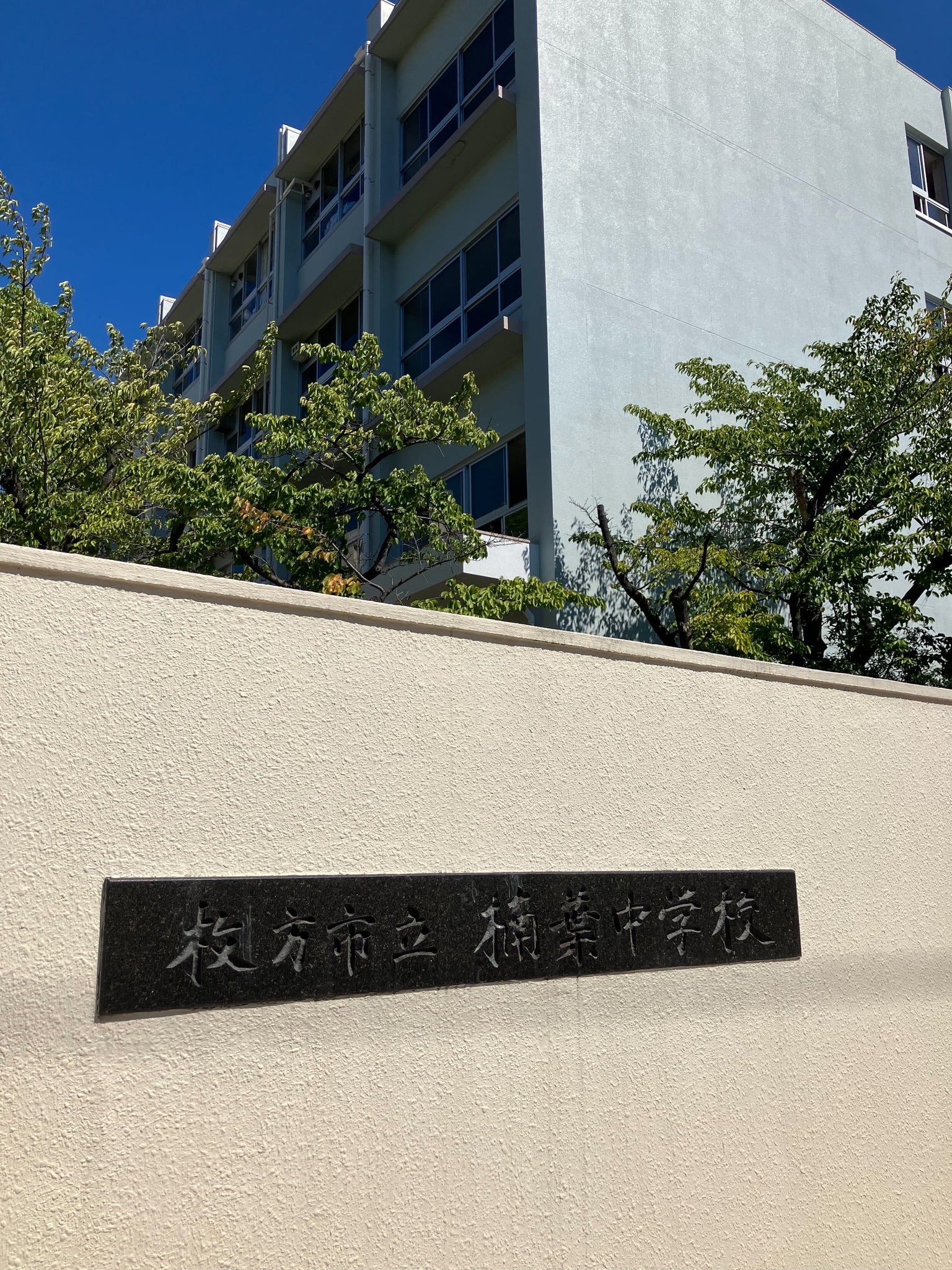 【活動報告】楠葉中学校「総合的な学習の時間」に参加しました